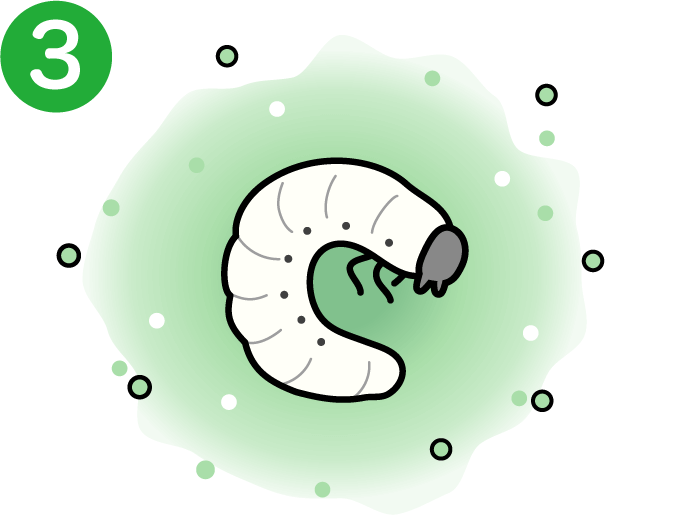 害虫がガス化した有効成分に当たってイメージ