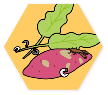 害虫のイラスト