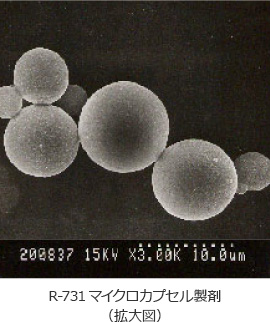 R-731マイクロカプセル製剤（拡大図）