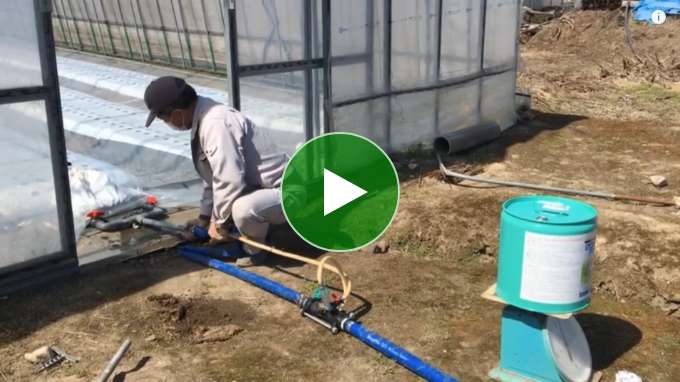 クロピクフロー　トルコギキョウ圃場での投薬事例1（前編）（作物：トルコギキョウ　使用機材：スミチャージ）