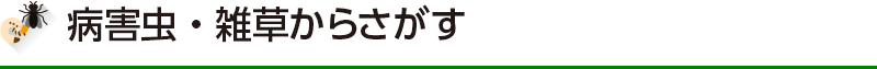 病害虫・雑草からさがす