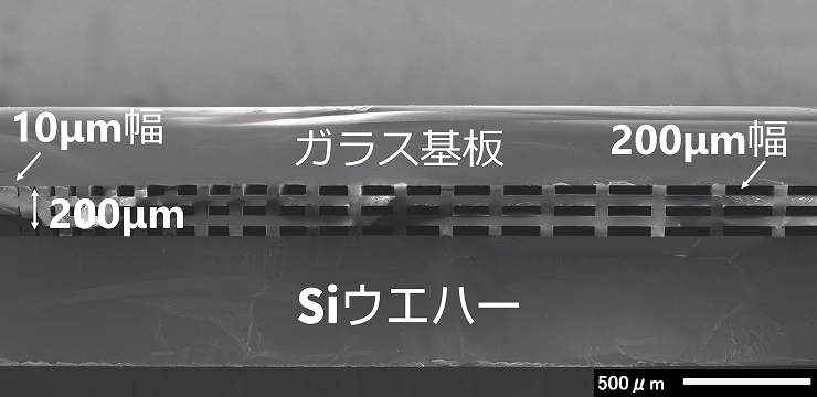 樹脂とガラスで封止した多層かつ微細な流路