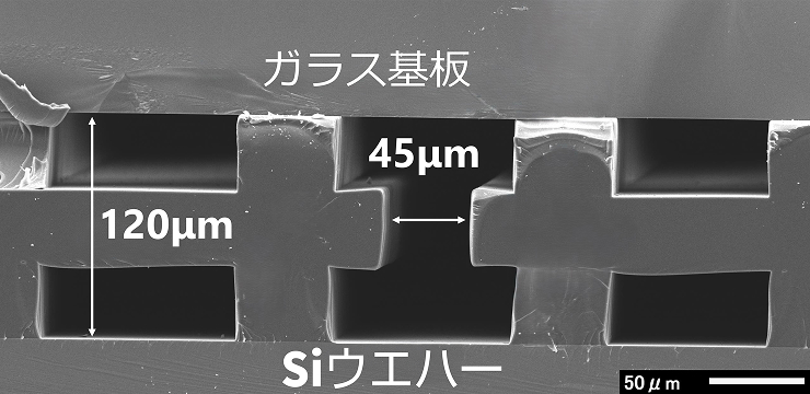中空構造上に樹脂壁を有する流路