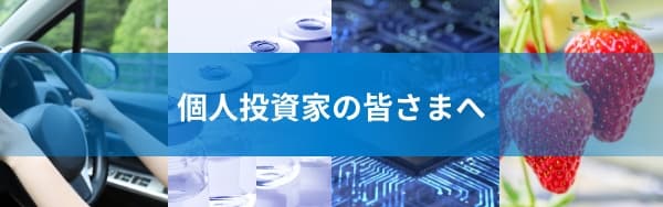 個人投資家の皆さまへ