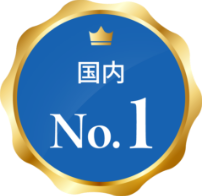 国内No.1