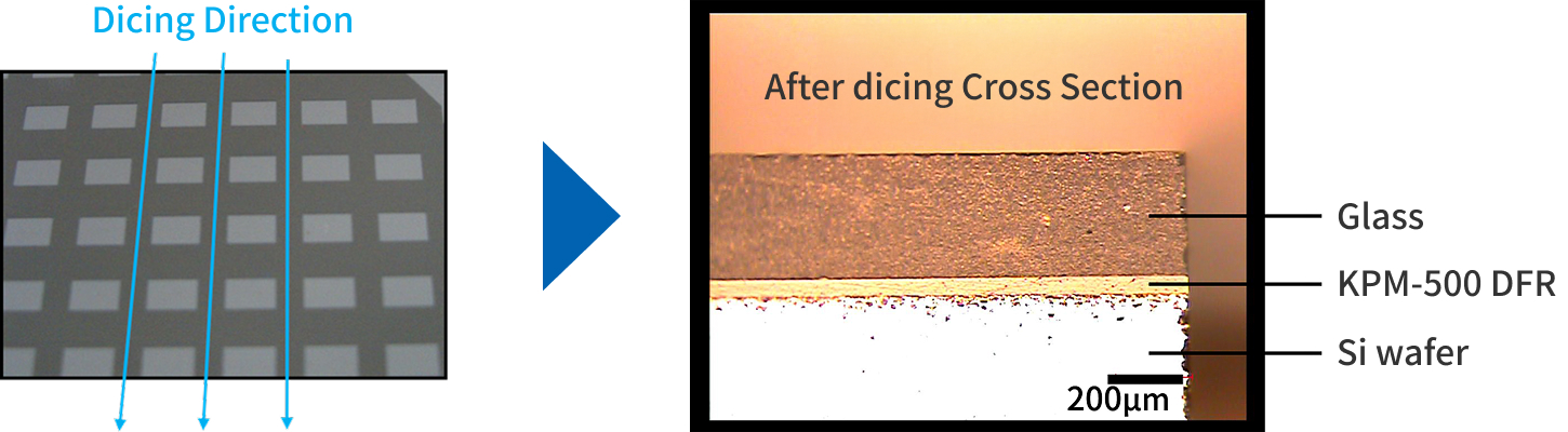 Si-Glass Bonding Cross‑section after dicing