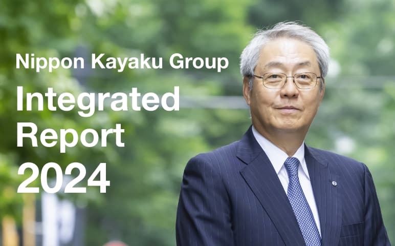 Integrated report 2024