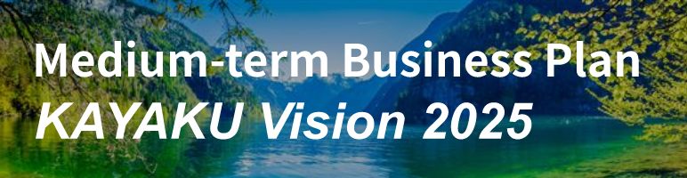 Mid-term Business Plan