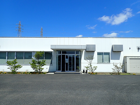 The plants left of the entrance have been treated with biostimulants. The plants on the right have not.