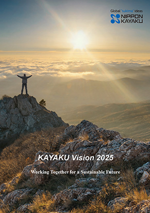 KAYAKU Vision 2025