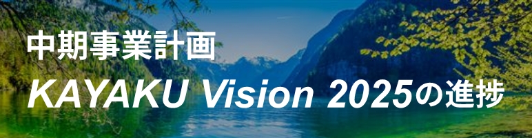 中期事業計画KAYAKU Vision 2025の進捗