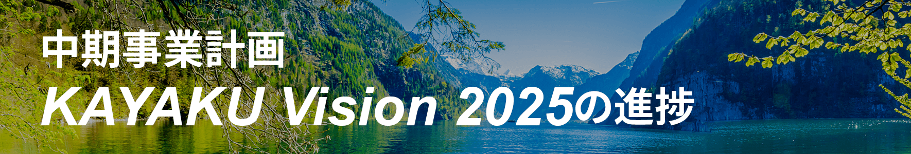 中期事業計画KAYAKU Vision 2025の進捗