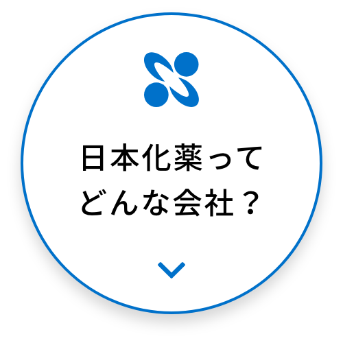 日本化薬ってどんな会社？