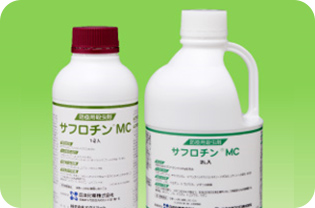 製剤技術の開発