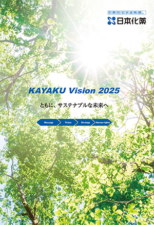 KAYAKU Vision 2025