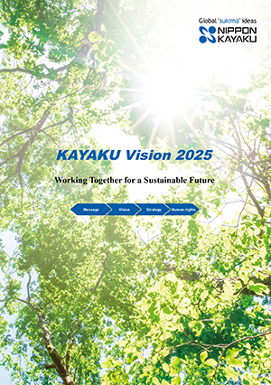 KAYAKU Vision 2025