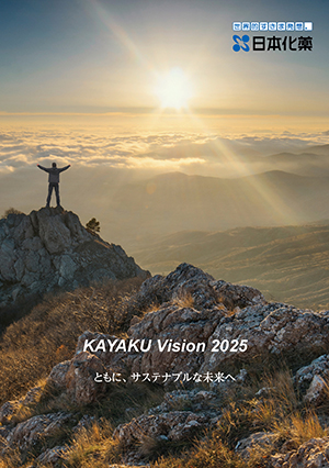 KAYAKU Vision 2025