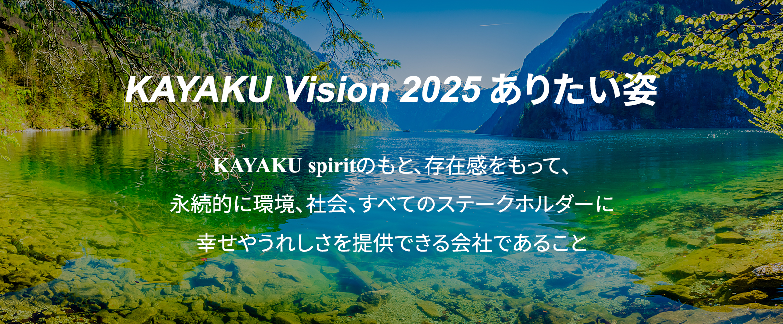 KAYAKU Vision 2025 ありたい姿