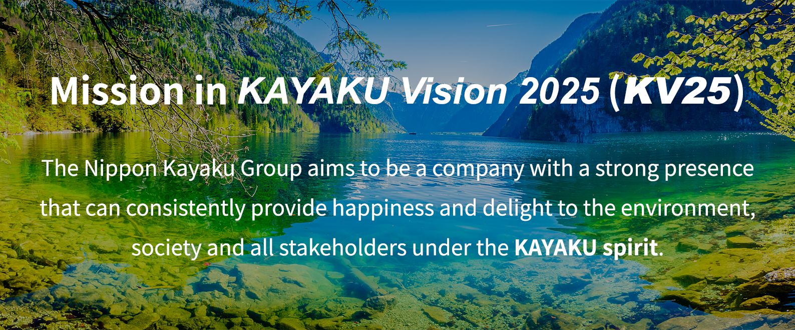 KAYAKU Vision 2025: Vision for 2025