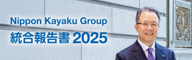 統合報告書 2025