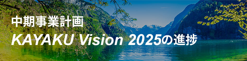 中期事業計画KAYAKU Vision 2025の進捗