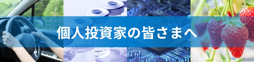 個人投資家の皆さまへ